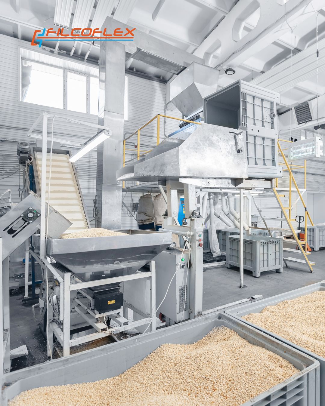 Food safety and hygiene